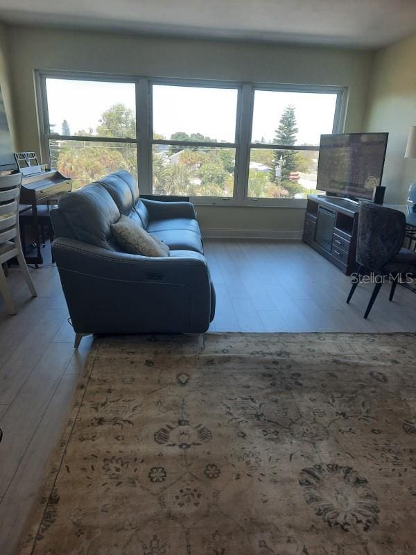 living room featuring a wealth of natural light and hardwood / wood-style floors