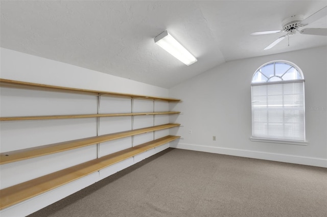 storage room featuring ceiling fan