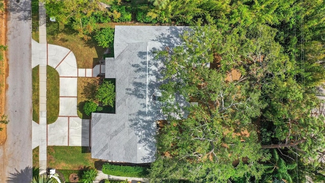 1616 N Dr, Sarasota, FL 34239 - photo 49