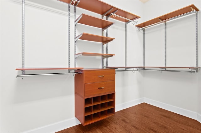 spacious closet featuring wood-type flooring