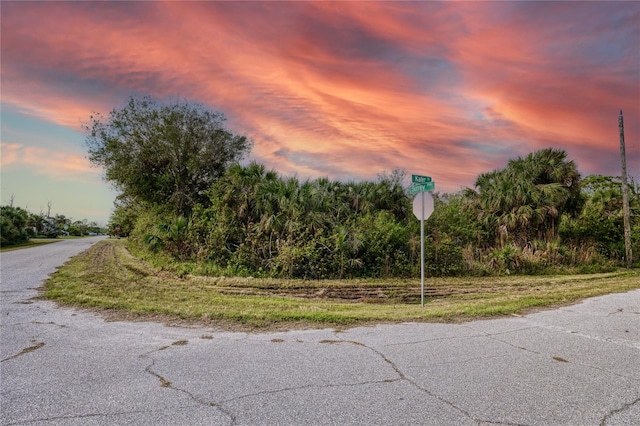 12100 Surrey Ave, Port Charlotte FL, 33981 land for sale