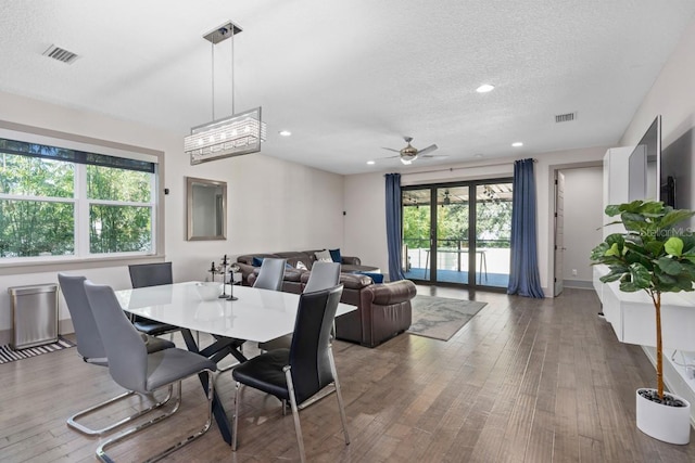 dining space with wood-type flooring, a textured ceiling, a wealth of natural light, and ceiling fan