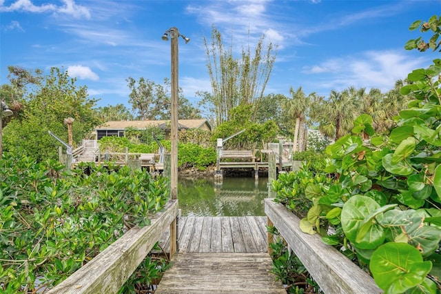 dock area with a water view