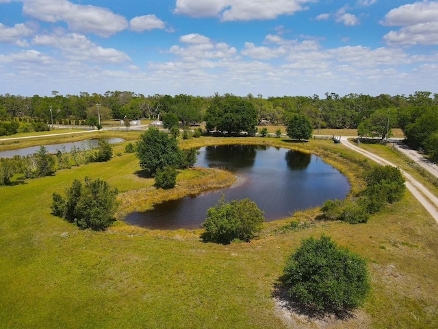 31730 Clay Gully Rd, Myakka City, FL 34251 - photo 69
