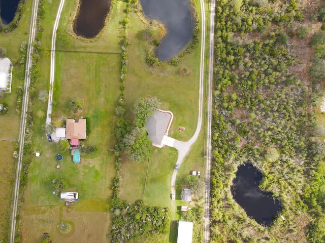 31730 Clay Gully Rd, Myakka City, FL 34251 - photo 68