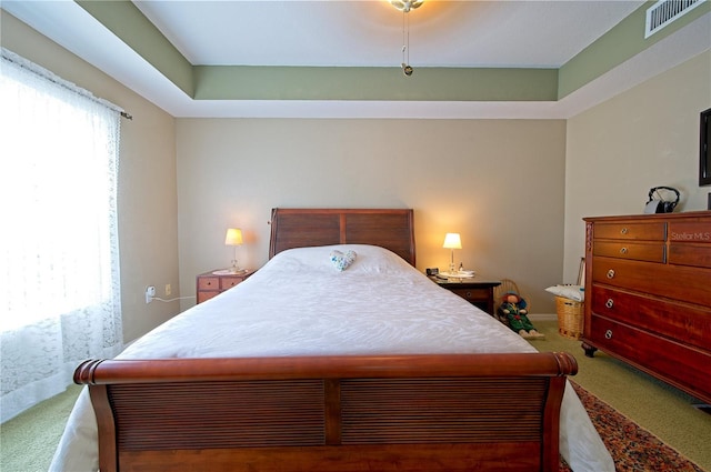 bedroom featuring carpet and a tray ceiling