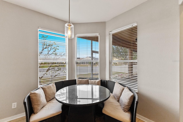 dining room featuring a healthy amount of sunlight