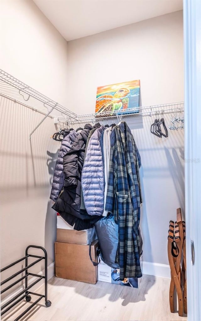 spacious closet with wood-type flooring