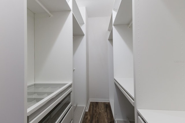 walk in closet with dark wood-type flooring