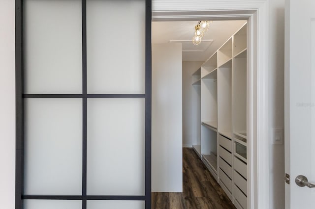 spacious closet featuring dark hardwood / wood-style flooring