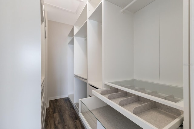13627 American Prairie Pl, Lakewood Ranch, FL 34211 - walk in closet featuring dark wood finished floors