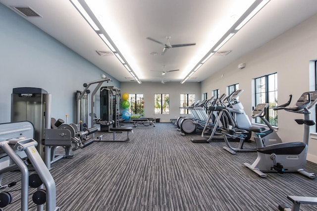 13627 American Prairie Pl, Lakewood Ranch, FL 34211 - workout area featuring carpet flooring and a ceiling fan