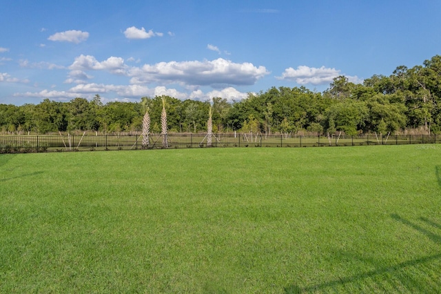 view of yard featuring a rural view