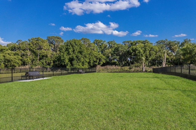 13627 American Prairie Pl, Lakewood Ranch, FL 34211 - view of yard