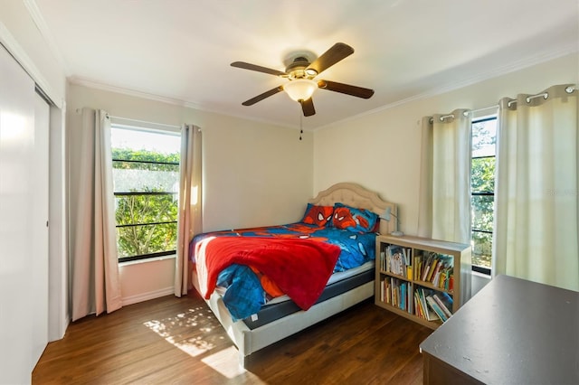 bedroom featuring multiple windows, ceiling fan, dark hardwood / wood-style flooring, and crown molding