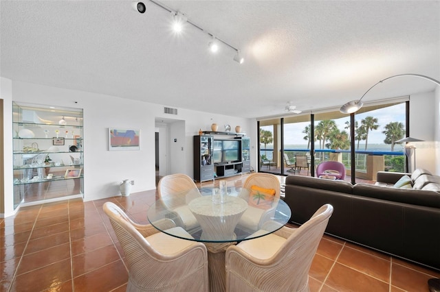 tiled dining area featuring plenty of natural light, track lighting, and a textured ceiling