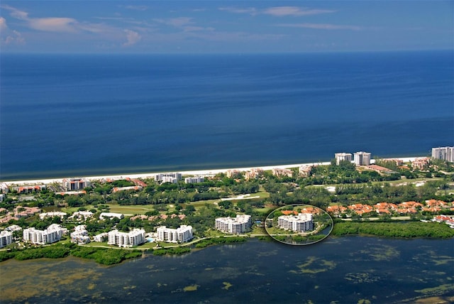 bird's eye view with a water view