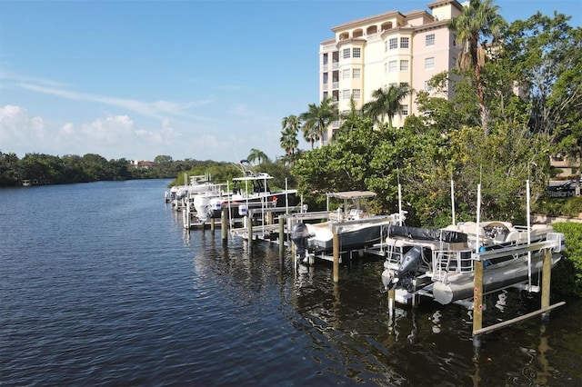 dock area with a water view