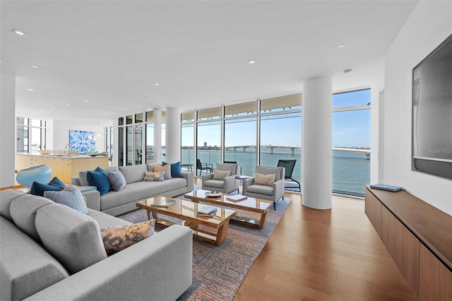 living room featuring a healthy amount of sunlight, a wall of windows, and light hardwood / wood-style floors