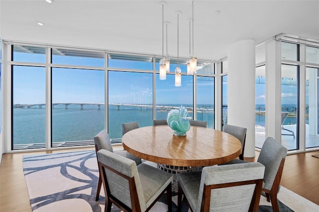 sunroom featuring a wealth of natural light, a water view, and a chandelier