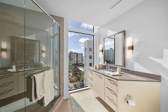 bathroom with vanity, a wealth of natural light, and a shower with shower door