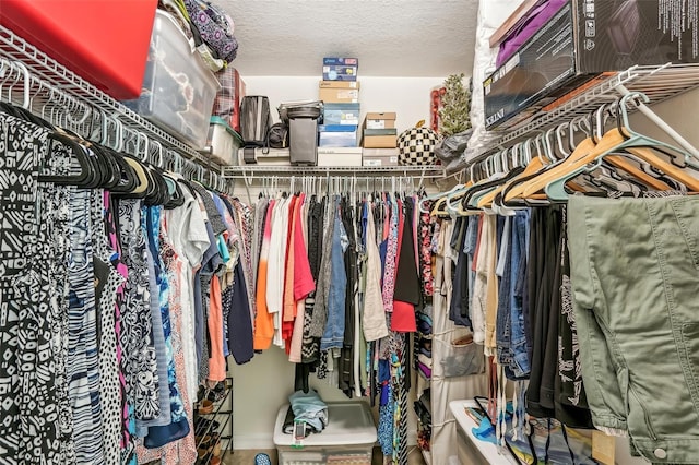 view of spacious closet