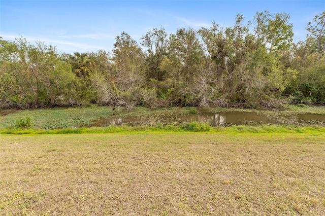 view of yard featuring a water view