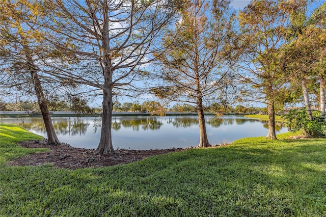 property view of water