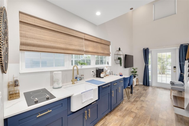 kitchen with blue cabinetry, black electric cooktop, light hardwood / wood-style flooring, and sink