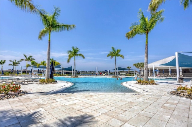 view of pool with a patio