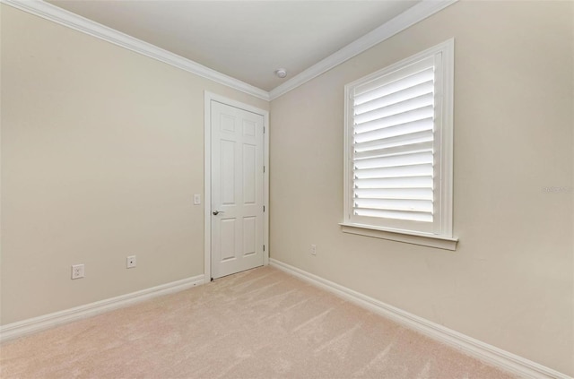 carpeted spare room featuring crown molding