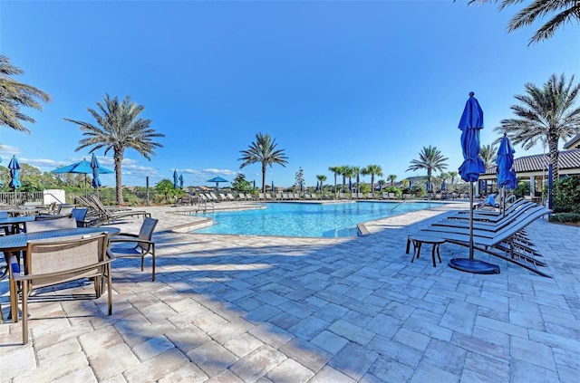 view of pool with a patio area