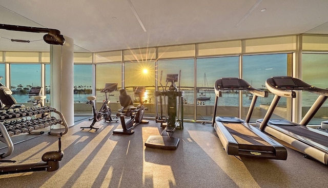 exercise room with a water view and a wall of windows