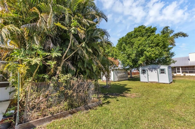 view of yard featuring a storage shed