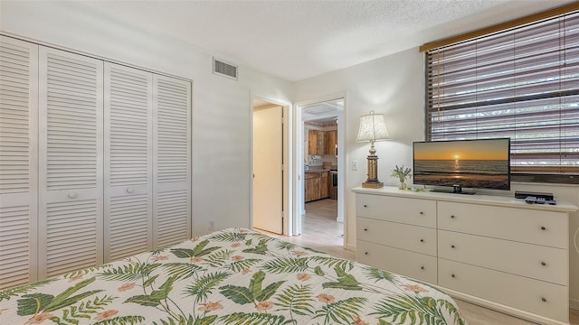 bedroom with a closet and a textured ceiling