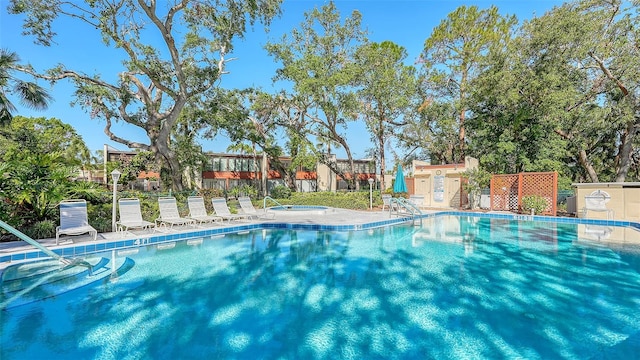 view of swimming pool