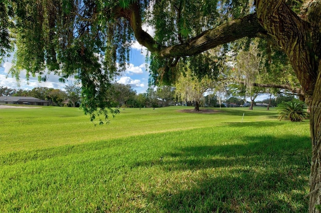 view of yard featuring a water view