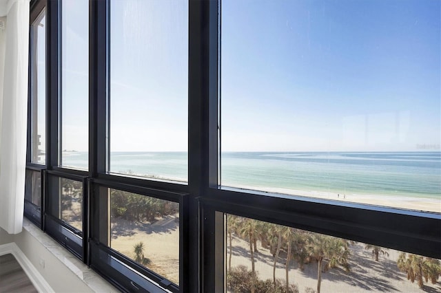 details featuring a beach view, wood-type flooring, and a water view