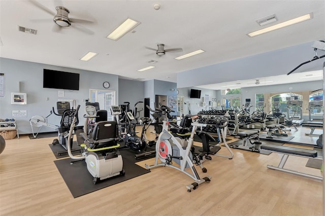 exercise room featuring ceiling fan and light hardwood / wood-style flooring