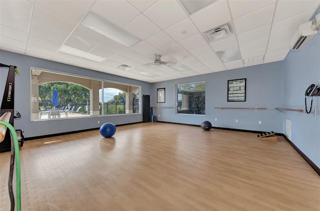 workout room with a wall mounted AC, a drop ceiling, light hardwood / wood-style floors, and ceiling fan