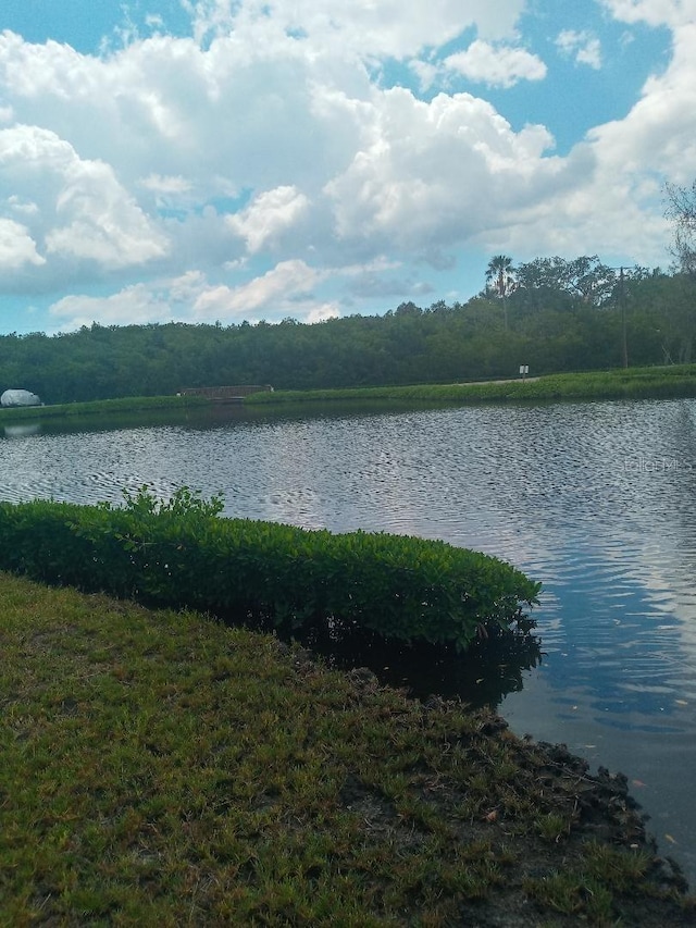 5 Palm Ave, Bradenton, FL 34208 - water view with a heavily wooded area