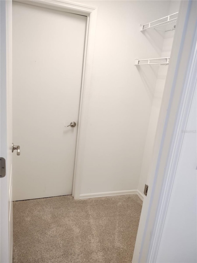 spacious closet with carpet