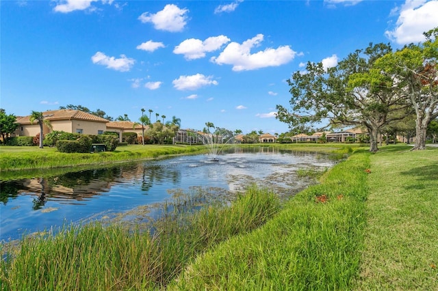 property view of water