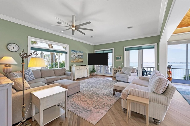 living room featuring ceiling fan, light wood-type flooring, and crown molding