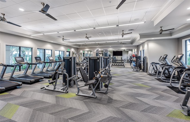 exercise room with ceiling fan, crown molding, and carpet