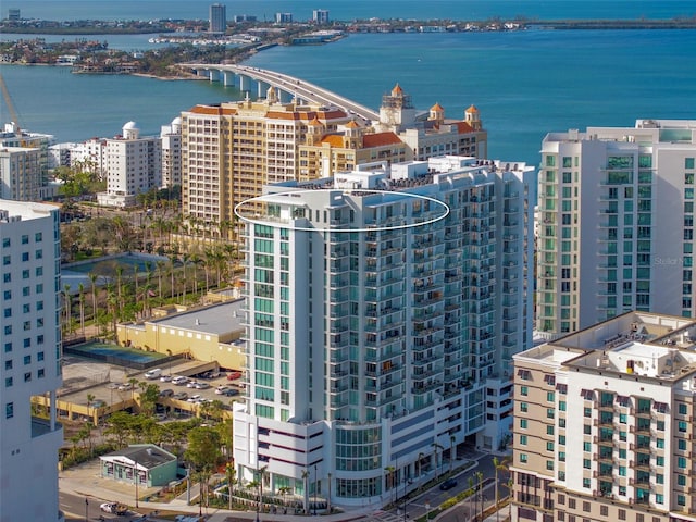 aerial view with a water view