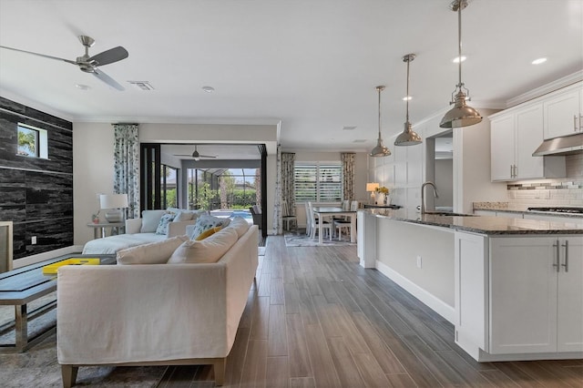 living room with dark hardwood / wood-style flooring, ornamental molding, and sink