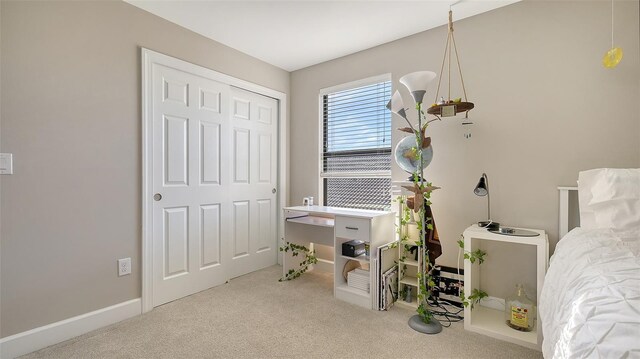 bedroom featuring carpet floors