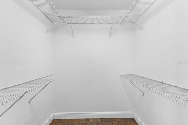 445 Horseshoe Loop Rd, Terra Ceia, FL 34250 - view of walk in closet