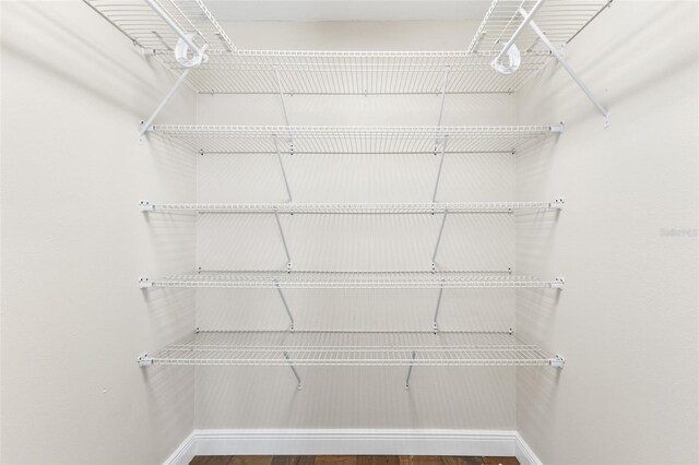 445 Horseshoe Loop Rd, Terra Ceia, FL 34250 - spacious closet with wood finished floors